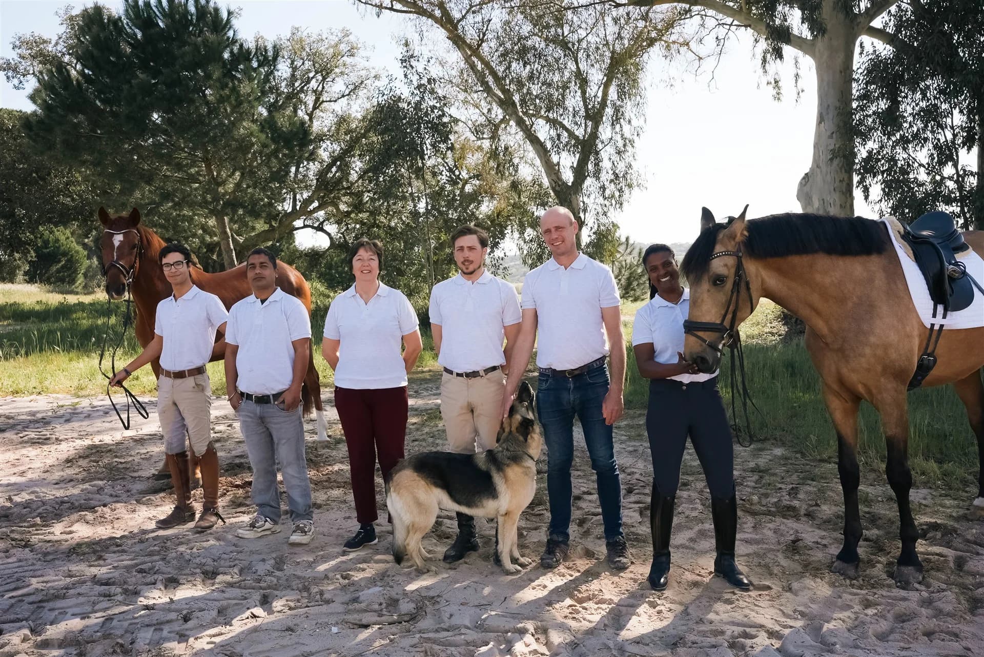 Holdet bag Quinta da Várzea med heste og hunde